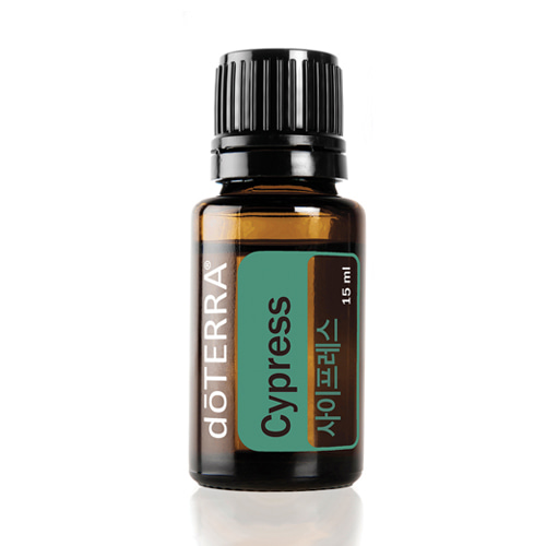 도테라 사이프레스오일(Cypress) 100% 천연 에센셜오일 15ml
